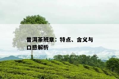 普洱茶班章：特点、含义与口感解析