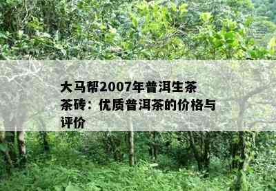 大马帮2007年普洱生茶茶砖：优质普洱茶的价格与评价