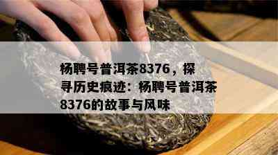 杨聘号普洱茶8376，探寻历史痕迹：杨聘号普洱茶8376的故事与风味