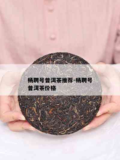 杨聘号普洱茶推荐-杨聘号普洱茶价格