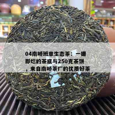 04南峤班章生态茶：一撮即烂的茶底与250克茶饼，来自南峤茶厂的优质好茶