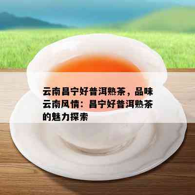 云南昌宁好普洱熟茶，品味云南风情：昌宁好普洱熟茶的魅力探索