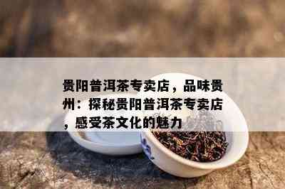 贵阳普洱茶专卖店，品味贵州：探秘贵阳普洱茶专卖店，感受茶文化的魅力