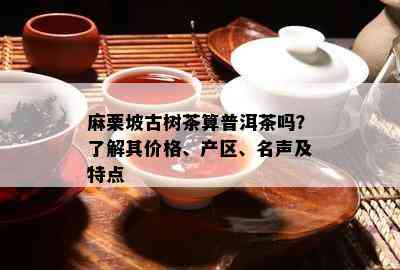 麻栗坡古树茶算普洱茶吗？了解其价格、产区、名声及特点