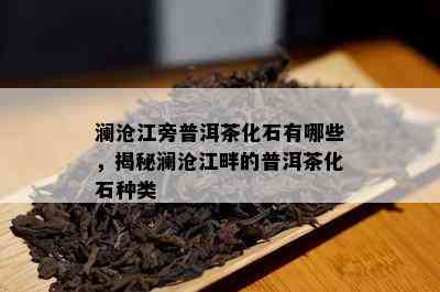 澜沧江旁普洱茶化石有哪些，揭秘澜沧江畔的普洱茶化石种类