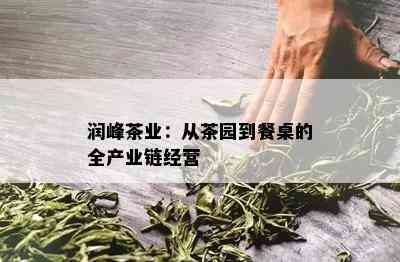 润峰茶业：从茶园到餐桌的全产业链经营