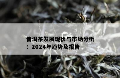 普洱茶发展现状与市场分析：2024年趋势及报告