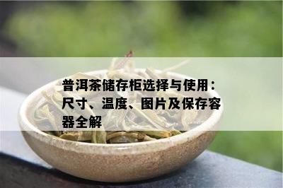 普洱茶储存柜选择与使用：尺寸、温度、图片及保存容器全解