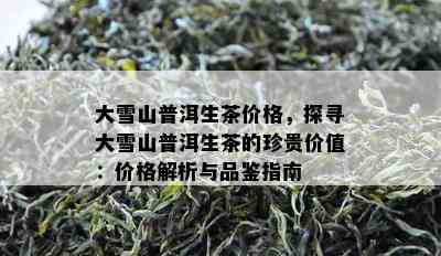 大雪山普洱生茶价格，探寻大雪山普洱生茶的珍贵价值：价格解析与品鉴指南