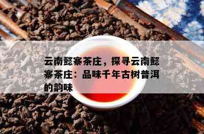 云南懿寨茶庄，探寻云南懿寨茶庄：品味千年古树普洱的韵味