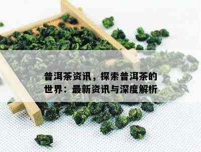 普洱茶资讯，探索普洱茶的世界：最新资讯与深度解析