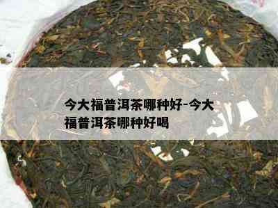 今大福普洱茶哪种好-今大福普洱茶哪种好喝