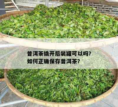 普洱茶撬开后装罐可以吗？怎样正保证存普洱茶？