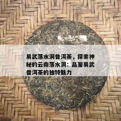 易武落水洞普洱茶，探索神秘的云南落水洞：品鉴易武普洱茶的特别魅力