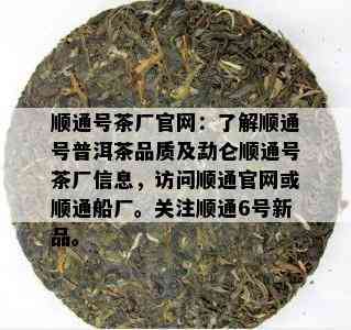 顺通号茶厂官网：熟悉顺通号普洱茶品质及勐仑顺通号茶厂信息，访问顺通官网或顺通船厂。关注顺通6号新品。