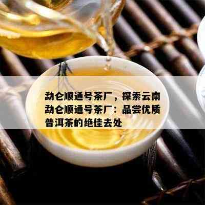 勐仑顺通号茶厂，探索云南勐仑顺通号茶厂：品尝优质普洱茶的绝佳去处