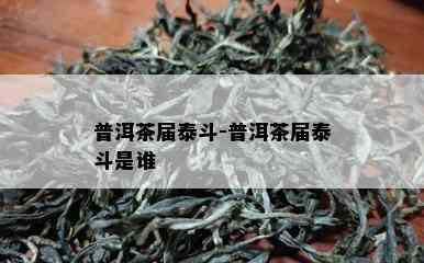 普洱茶届泰斗-普洱茶届泰斗是谁