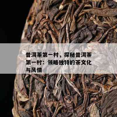 普洱茶之一村，探秘普洱茶之一村：领略特别的茶文化与风情