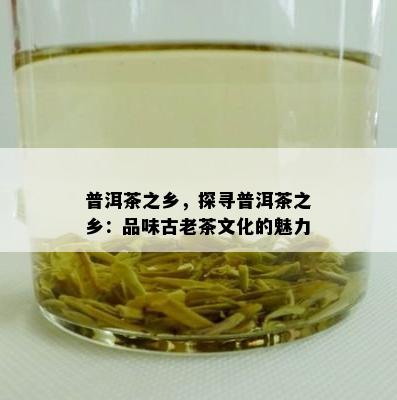 普洱茶之乡，探寻普洱茶之乡：品味古老茶文化的魅力