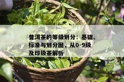 普洱茶的等级划分：基础、标准与划分图，从0-9级及印级茶解析