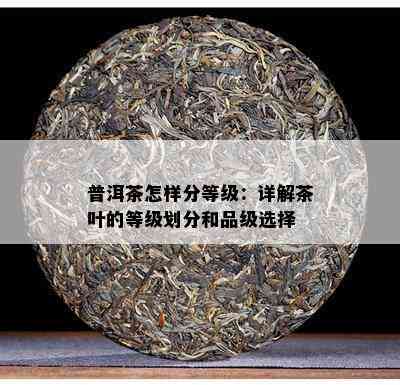 普洱茶怎样分等级：详解茶叶的等级划分和品级选择