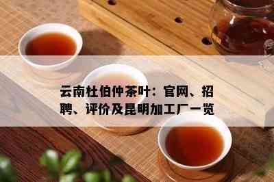 云南杜伯仲茶叶：官网、招聘、评价及昆明加工厂一览