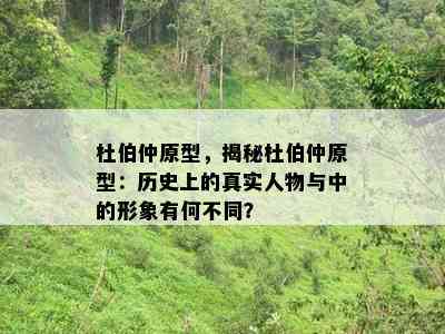 杜伯仲原型，揭秘杜伯仲原型：历史上的真实人物与中的形象有何不同？