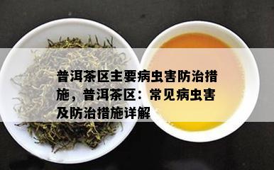 普洱茶区主要病虫害防治措施，普洱茶区：常见病虫害及防治措施详解