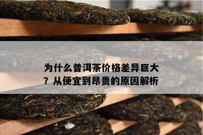 为什么普洱茶价格差异巨大？从便宜到昂贵的原因解析