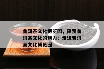 普洱茶文化博览园，探索普洱茶文化的魅力：走进普洱茶文化博览园