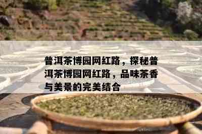 普洱茶博园网红路，探秘普洱茶博园网红路，品味茶香与美景的完美结合