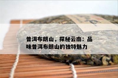 普洱布朗山，探秘云南：品味普洱布朗山的独特魅力