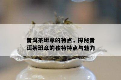 普洱茶班章的特点，探秘普洱茶班章的独特特点与魅力