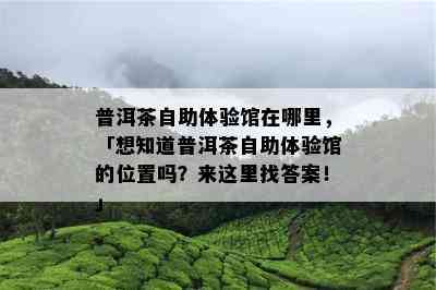 普洱茶自助体验馆在哪里，「想知道普洱茶自助体验馆的位置吗？来这里找答案！」