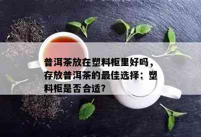 普洱茶放在塑料柜里好吗，存放普洱茶的更佳选择：塑料柜是不是合适？