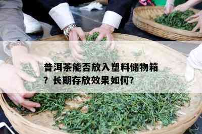 普洱茶能否放入塑料储物箱？长期存放效果怎样？