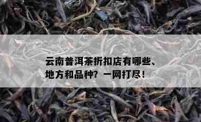 云南普洱茶折扣店有哪些、地方和品种？一网打尽！