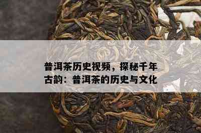 普洱茶历史视频，探秘千年古韵：普洱茶的历史与文化