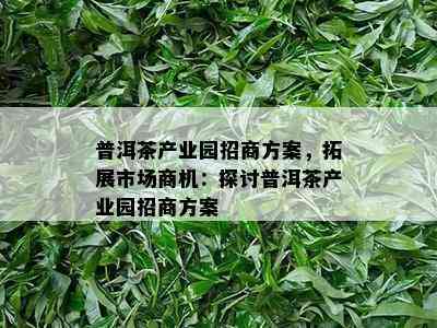 普洱茶产业园招商方案，拓展市场商机：探讨普洱茶产业园招商方案