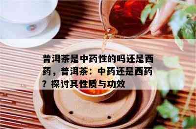 普洱茶是中性的吗还是西，普洱茶：中还是西？探讨其性质与功效