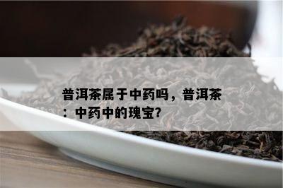 普洱茶属于中吗，普洱茶：中中的瑰宝？