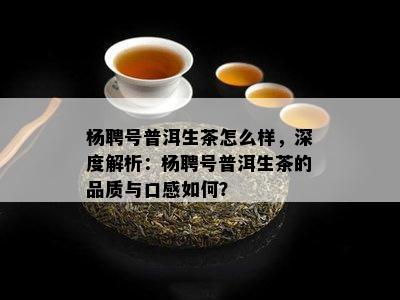 杨聘号普洱生茶怎么样，深度解析：杨聘号普洱生茶的品质与口感怎样？