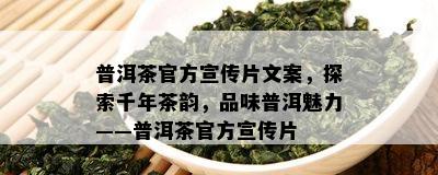 普洱茶官方宣传片文案，探索千年茶韵，品味普洱魅力——普洱茶官方宣传片