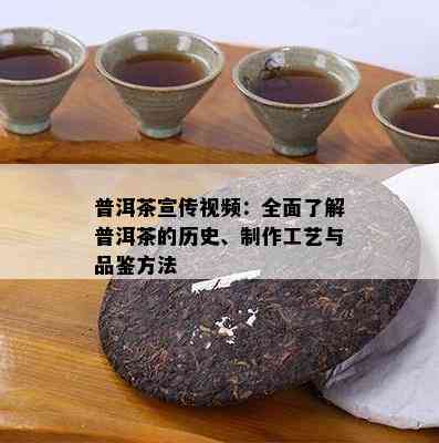 普洱茶宣传视频：全面熟悉普洱茶的历史、制作工艺与品鉴方法