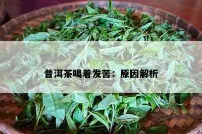 普洱茶喝着发苦：起因解析