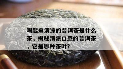 喝起来清凉的普洱茶是什么茶，揭秘清凉口感的普洱茶，它是哪种茶叶？