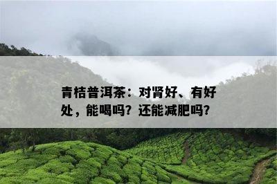 青桔普洱茶：对肾好、有好处，能喝吗？还能减肥吗？