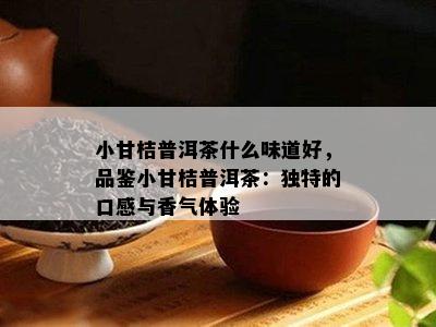 小甘桔普洱茶什么味道好，品鉴小甘桔普洱茶：特别的口感与香气体验