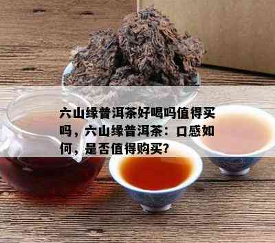 六山缘普洱茶好喝吗值得买吗，六山缘普洱茶：口感怎样，是不是值得购买？