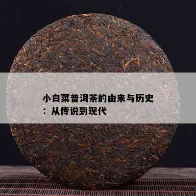 小白菜普洱茶的由来与历史：从传说到现代